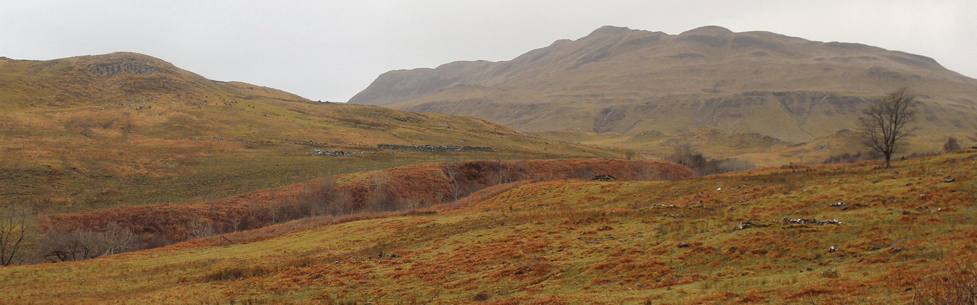 Ardnamurchan landscape image